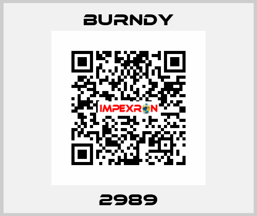 2989 Burndy