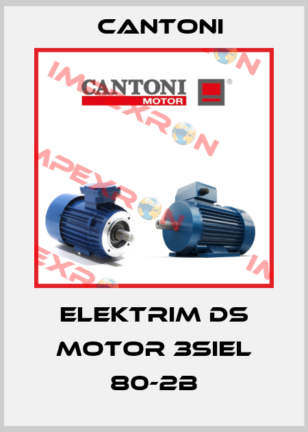 Elektrim DS Motor 3SIEL 80-2B Cantoni