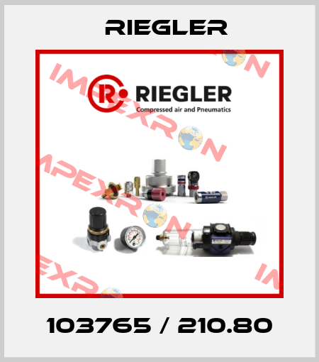 103765 / 210.80 Riegler