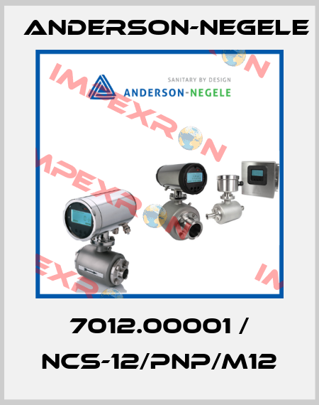 7012.00001 / NCS-12/PNP/M12 Anderson-Negele