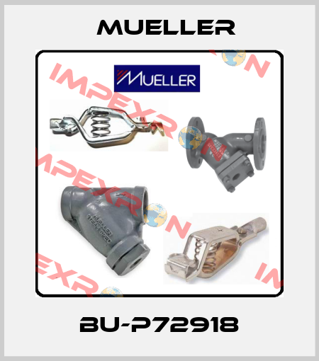 BU-P72918 Mueller