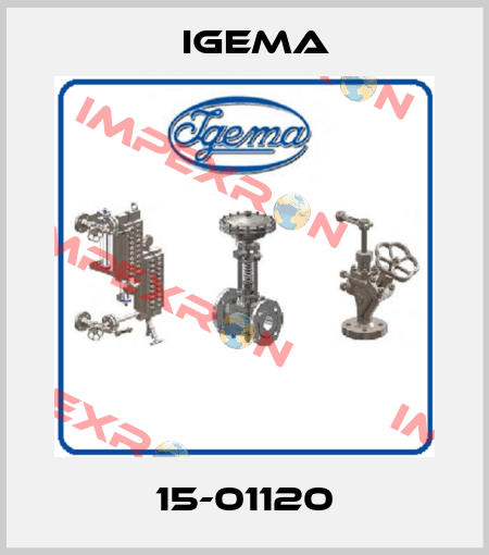15-01120 Igema