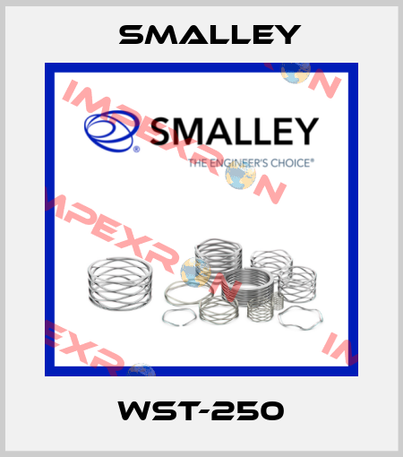 WST-250 SMALLEY