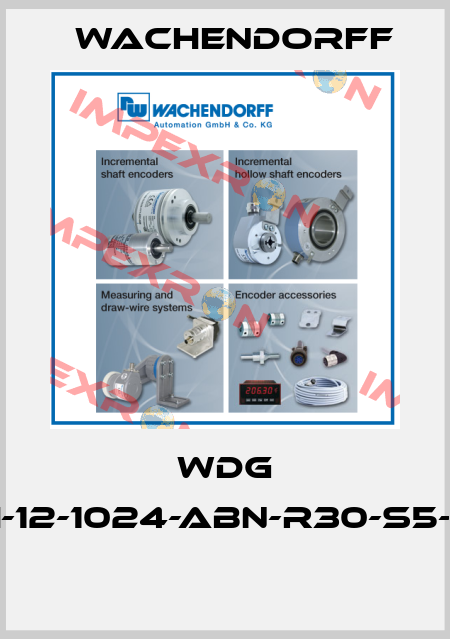 WDG 58H-12-1024-ABN-R30-S5-F58  Wachendorff
