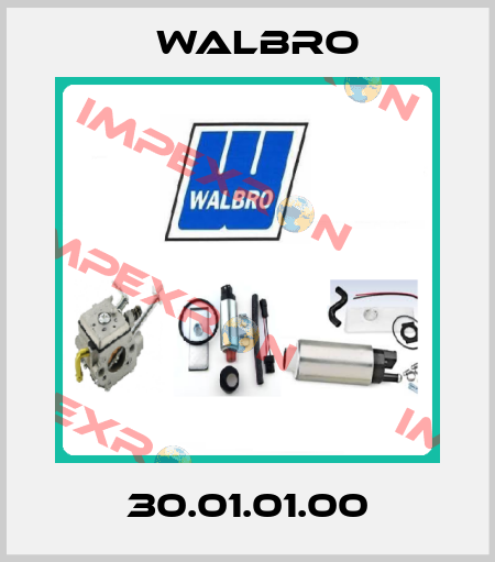 30.01.01.00 Walbro
