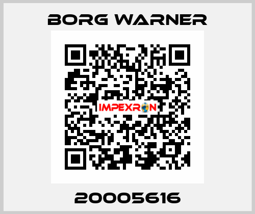 20005616 Borg Warner