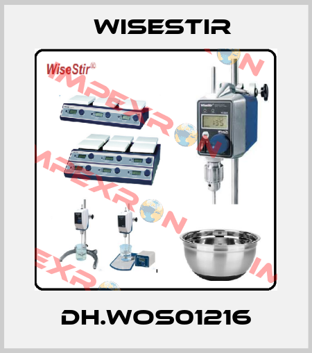 DH.WOS01216 WiseStir