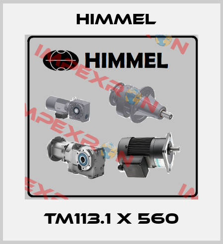 TM113.1 x 560 HIMMEL