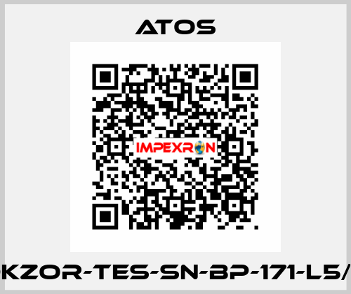 DKZOR-TES-SN-BP-171-L5/Z Atos