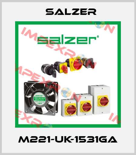 M221-UK-1531GA Salzer