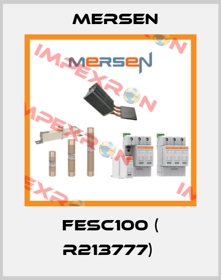 FESC100 ( R213777)  Mersen