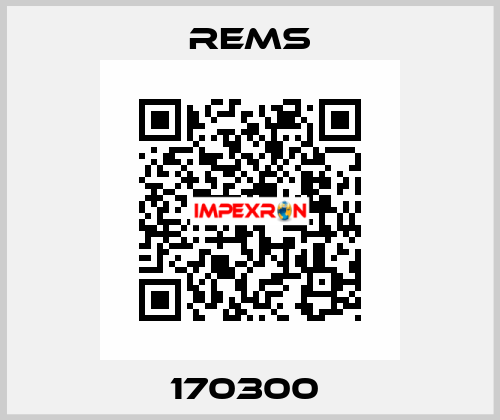 170300  Rems