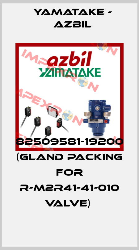 82509581-19200 (Gland packing for R-M2R41-41-010 valve)  Yamatake - Azbil