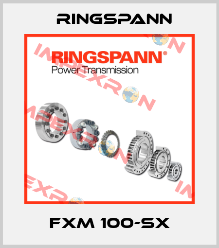 FXM 100-SX Ringspann