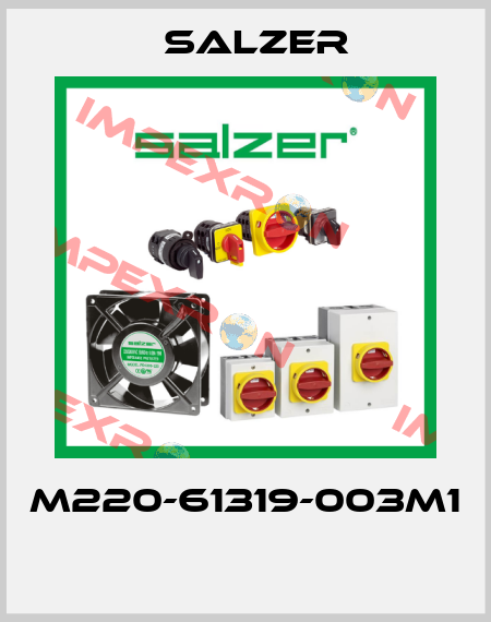 M220-61319-003M1  Salzer