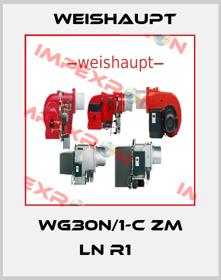 WG30N/1-C ZM LN R1   Weishaupt