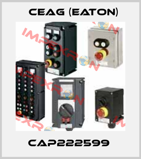 CAP222599  Ceag (Eaton)