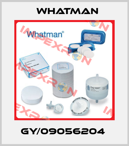 GY/09056204  Whatman