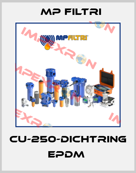 CU-250-DICHTRING EPDM  MP Filtri