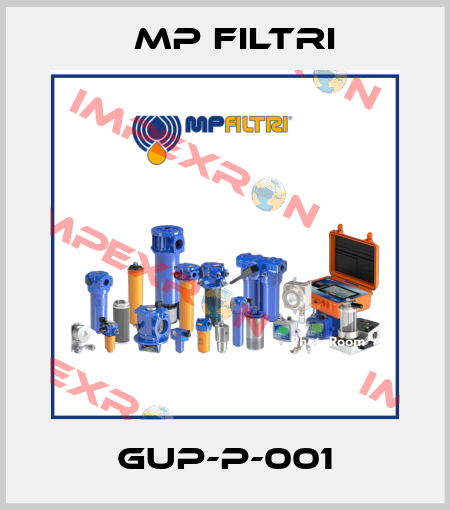 GUP-P-001 MP Filtri