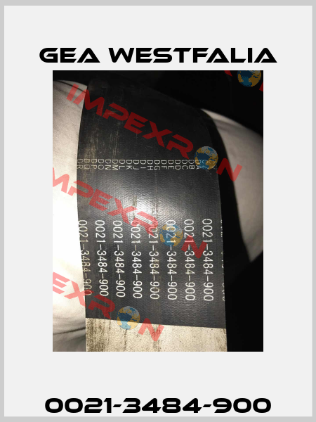 0021-3484-900 Gea Westfalia