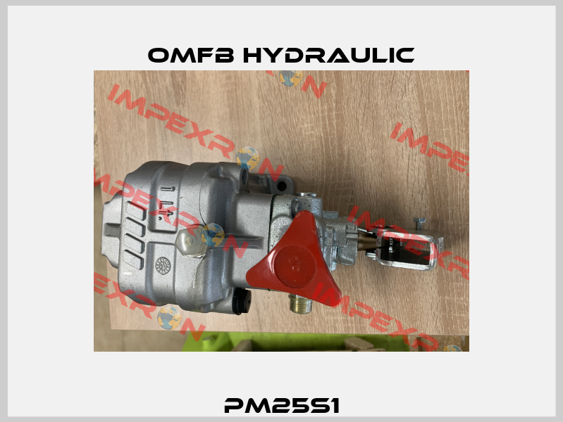 PM25S1 OMFB Hydraulic