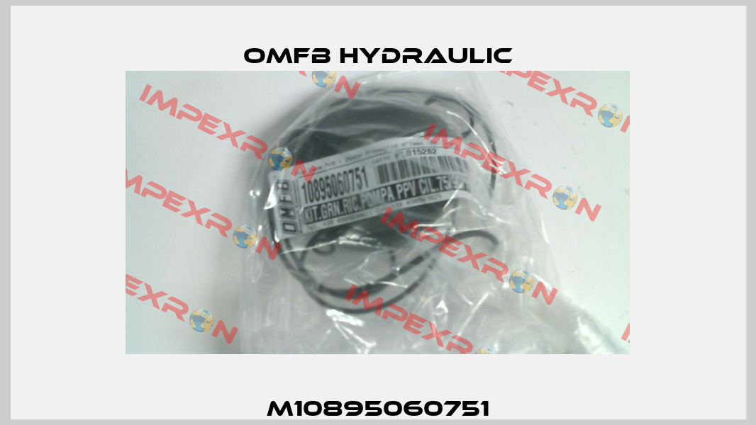 M10895060751 OMFB Hydraulic