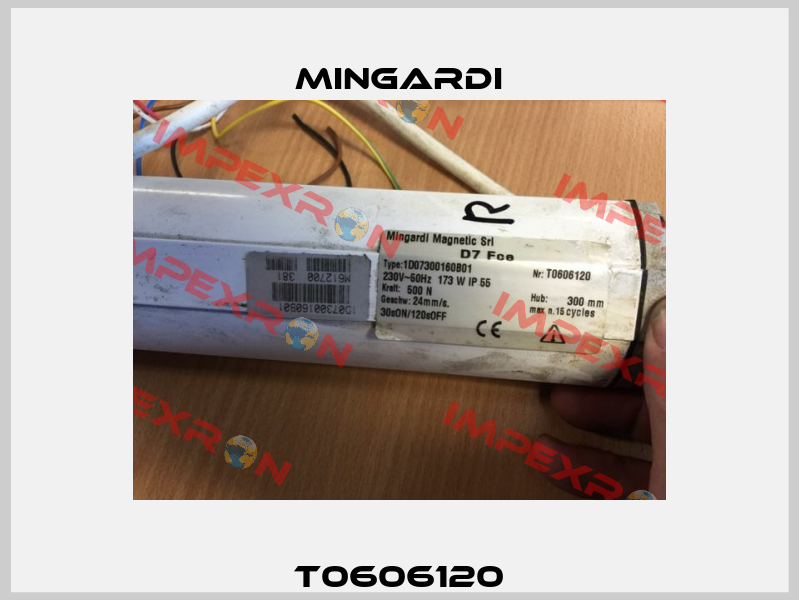 T0606120 Mingardi
