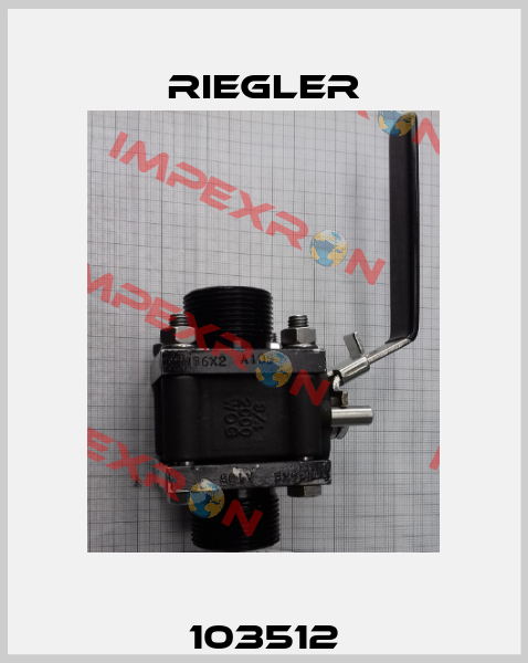 103512 Riegler