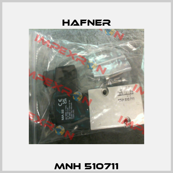 MNH 510711 Hafner